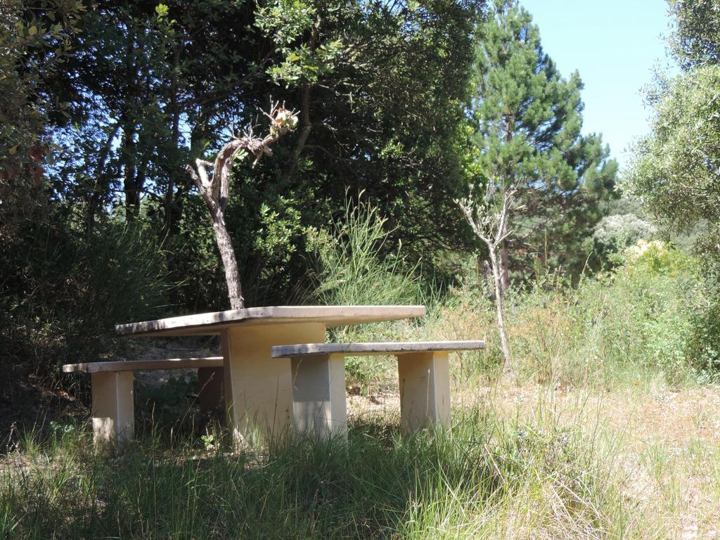 Les Deux Lions Hotel Alairac Buitenkant foto
