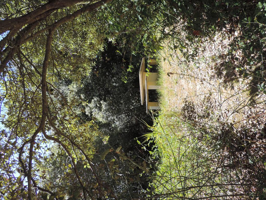 Les Deux Lions Hotel Alairac Buitenkant foto